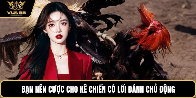 Bạn nên cược cho kê chiến có lối đánh chủ động