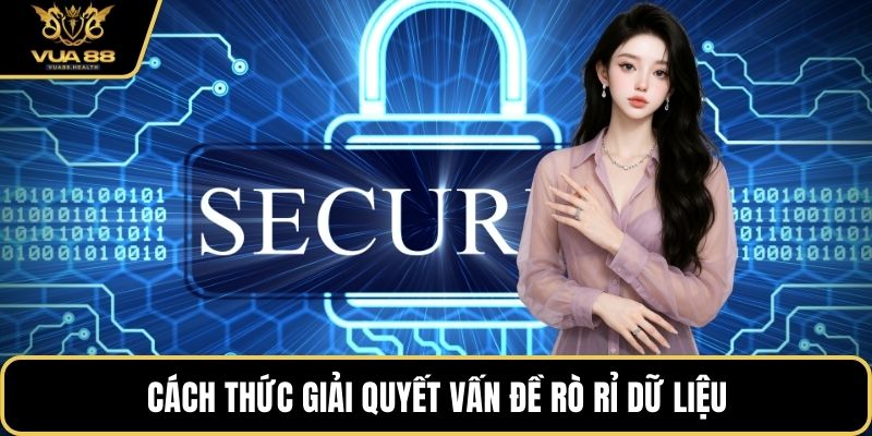 Cách thức giải quyết vấn đề rò rỉ dữ liệu