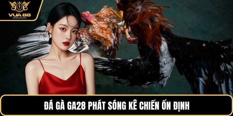 Đá Gà GA28 phát sóng kê chiến ổn định