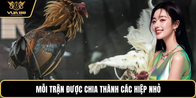 Mỗi trận được chia thành các hiệp nhỏ