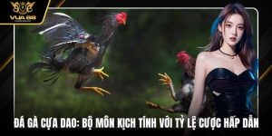 Đá Gà Cựa Dao: Bộ Môn Kịch Tính Với Tỷ Lệ Cược Hấp Dẫn