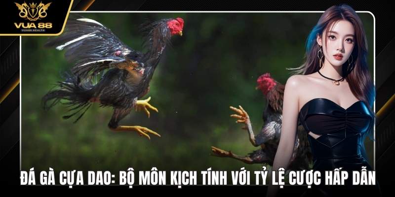 Đá Gà Cựa Dao: Bộ Môn Kịch Tính Với Tỷ Lệ Cược Hấp Dẫn