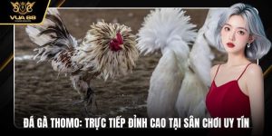 Đá Gà Thomo: Trực Tiếp Đỉnh Cao Tại Sân Chơi Uy Tín